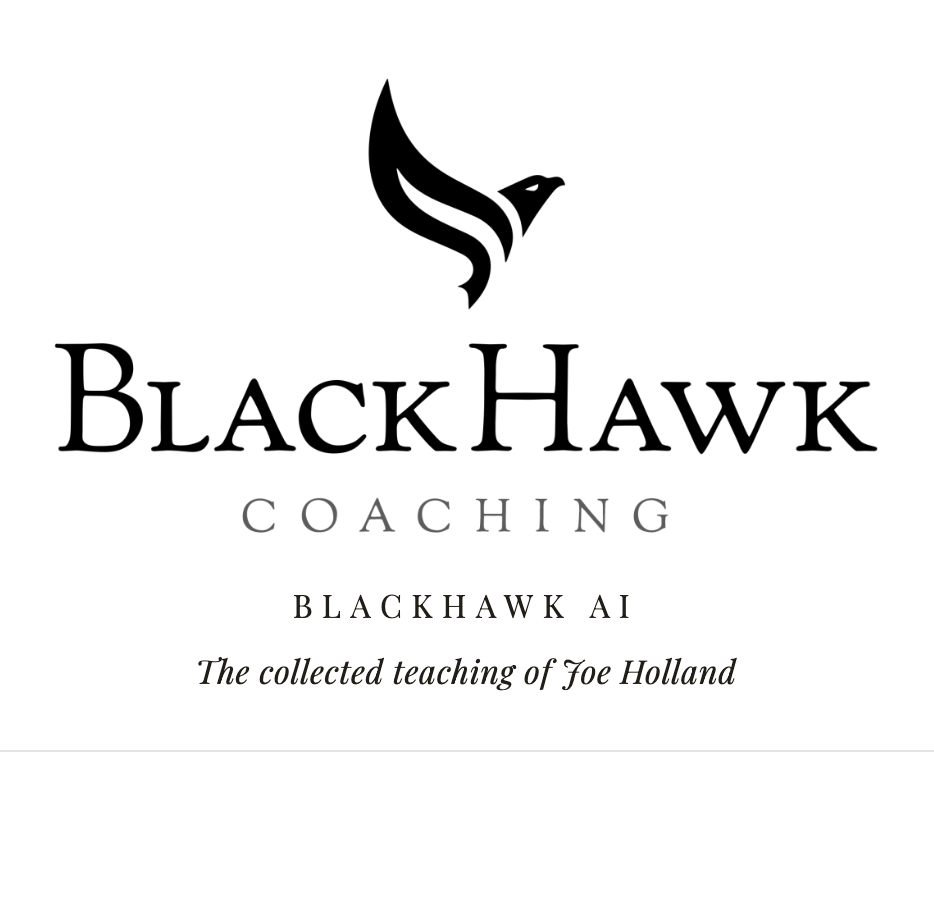 Blackhawk AI project